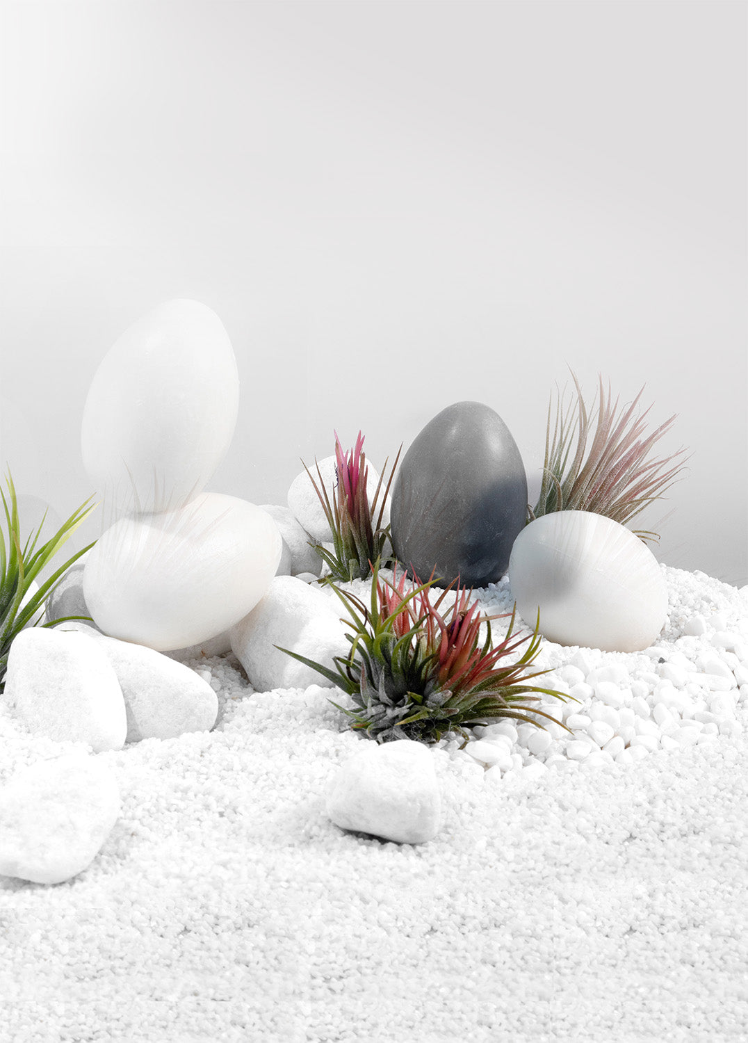 White Egg Soap
