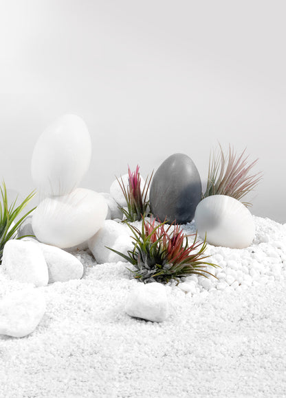 White Egg Soap