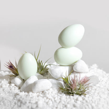 Green Egg Soap