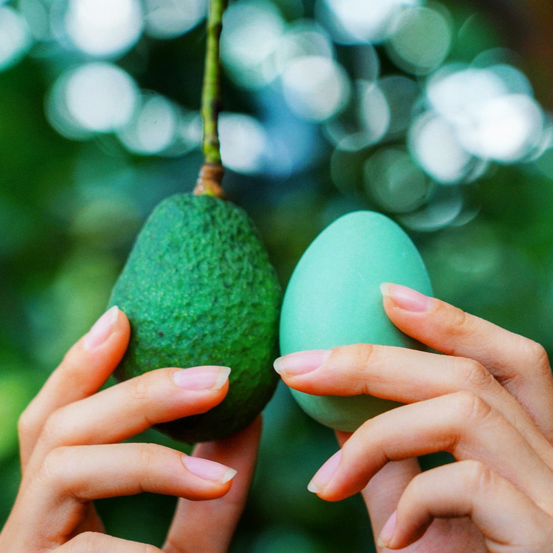 Avocado Egg Soap